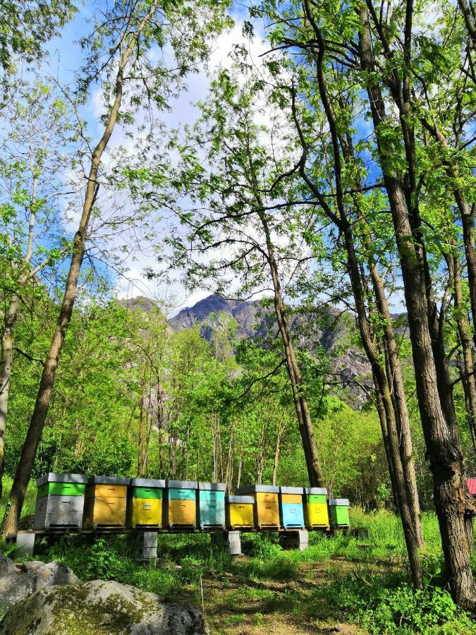 Alojamento de Turismo Rural Val Codera Verceia